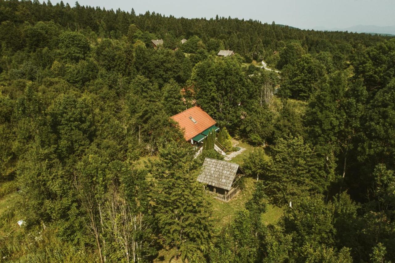 House Poljana *