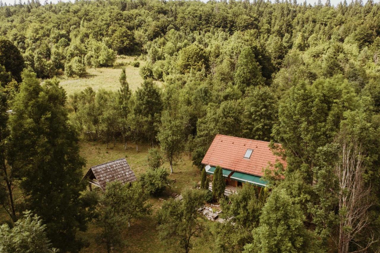 House Poljana *