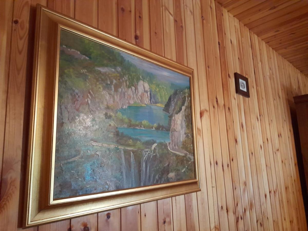 House Poljana Holiday home *